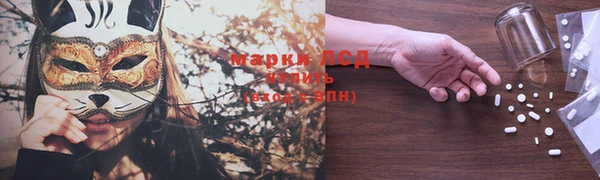 мяу мяу мука Баксан