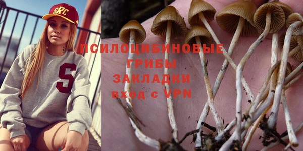 мяу мяу мука Баксан