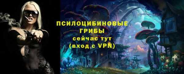 стаф Балабаново