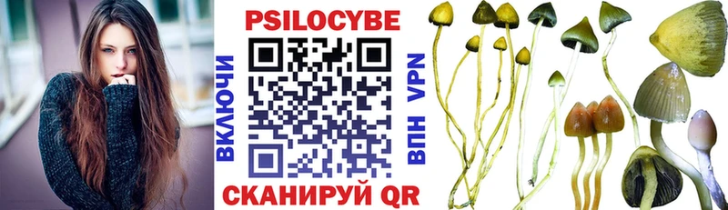 купить наркоту Лесозаводск Псилоцибиновые грибы ЛСД
